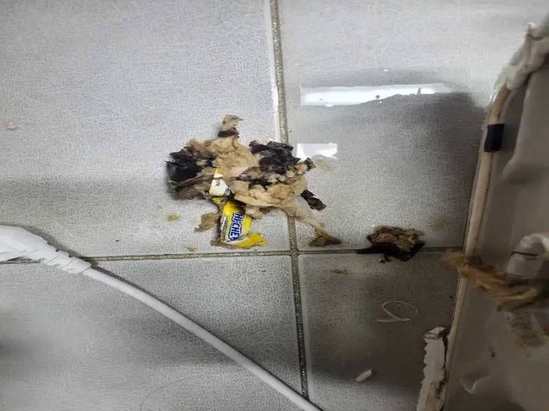 구리 배관 이물질 제거 사례 6